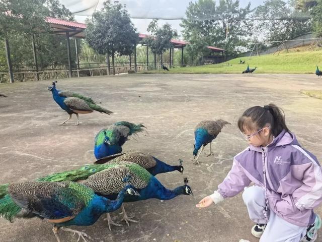 “我”的秋假时光 | 见山见水见世界 ③