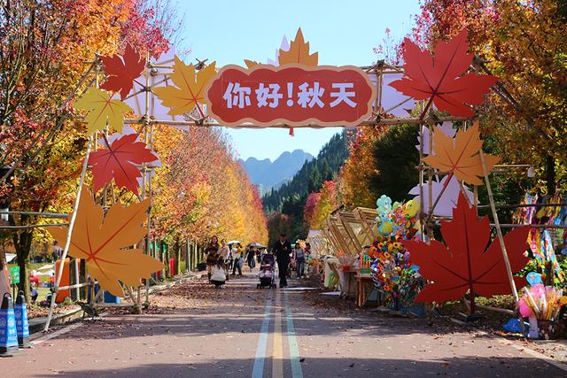 阳光谷旅游度假区：“枫”华正茂 邂逅秋日浪漫