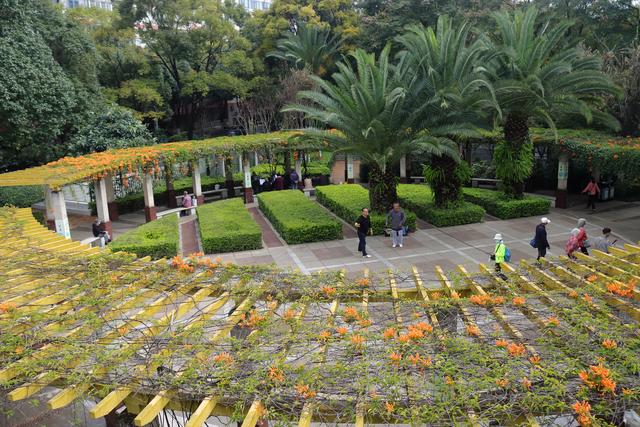 昆明的空中栈道建设是一个极好的构思