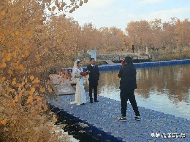 泽普胡杨迎来最佳观赏期 金黄画卷引客来 胡杨美景生共鸣