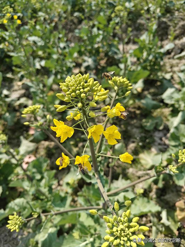 回顾一下今年春节，明天又要启程