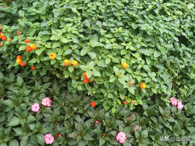 长假去网红景点的人，是不是都在花钱买罪受？