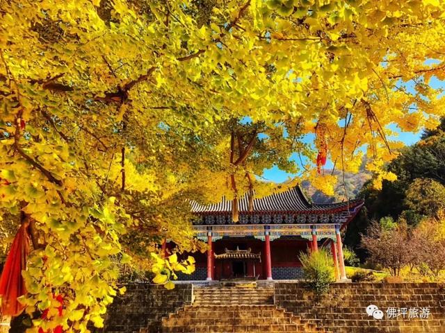 赏秋正当时!自驾来汉中,赴一场秋日视觉盛宴~