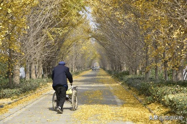 偶尔的发现，揭开奶奶的情感世界，那份珍藏的发了黄的破烂的情书