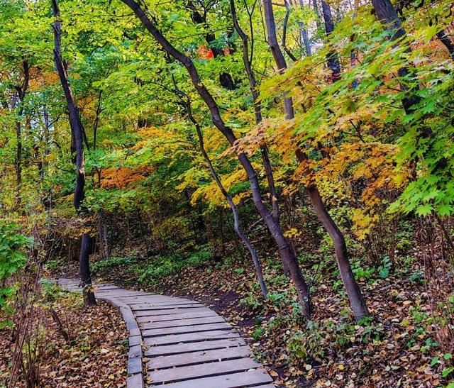层林尽染 颜值拉满！千山赏秋正当时