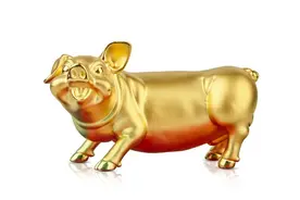 2025属猪人旺运色指南：这4种颜色用对了财运涨90%！图片