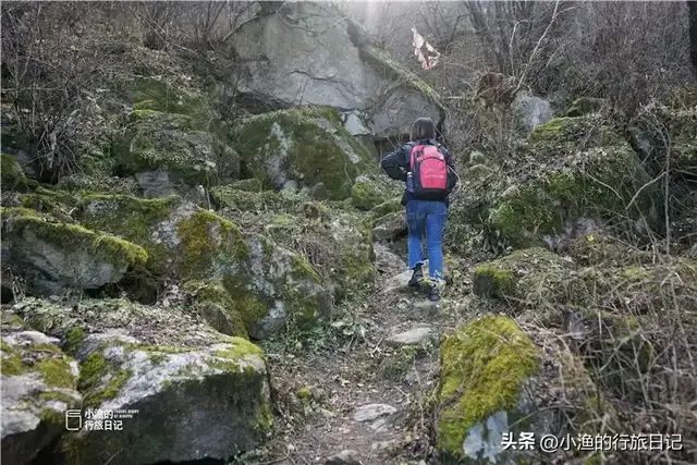 西安秦岭“野游”，这座休闲路线值得去！人少、路野、景美