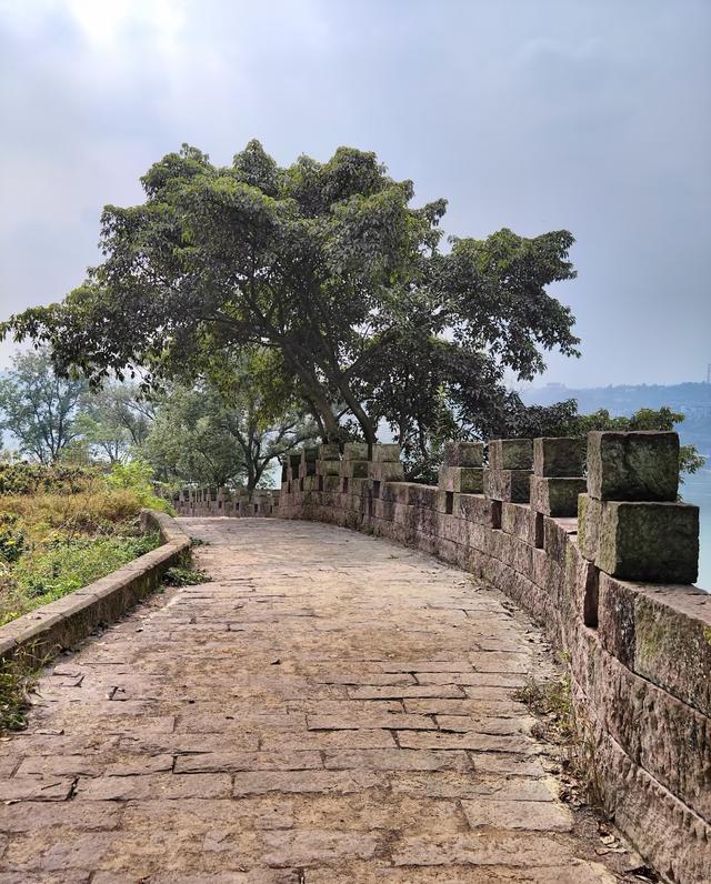 我是北京人，在四川泸州逛了几天	，憋不住想讲讲这趟行程的感受。