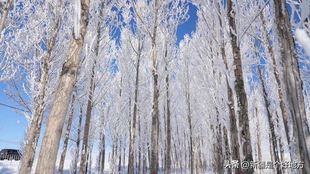 2025’新疆热雪节暨第三届伊犁昭苏天马冰雪旅游季 将于12月31日盛大开幕~