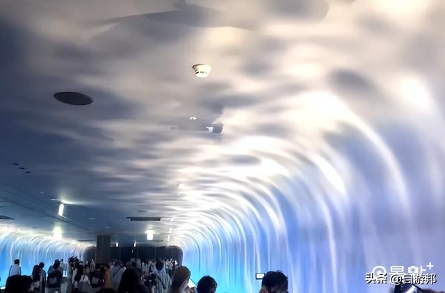 台中海洋馆 水母池艺术级水族体验 莲之水槽无敌梦幻