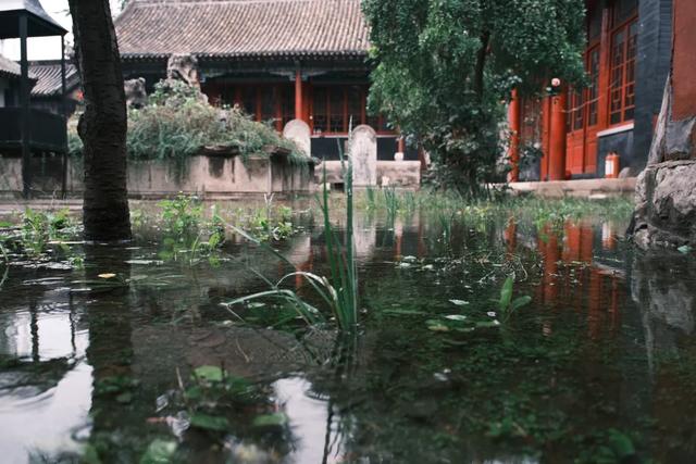 博山连续13天降雨竟泡出千年古泉！连县志都没记载其名