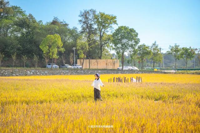 黄陂赏秋,这样玩才够味!