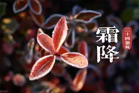 “天上繁霜降，地上吃五样”，明日霜降，要吃哪五样？民俗多了解图片