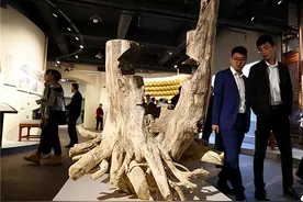 沉香为何历经千年而不衰？沉香的作用有哪些？图片