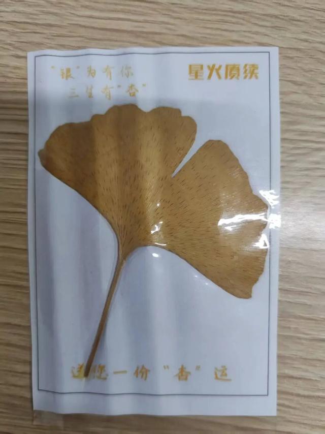 在汉阳的秋天，捡出一个灵感宝库