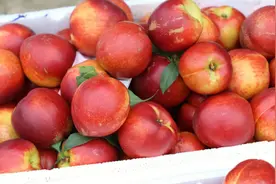 油桃再次成为关注对象！医生忠告：油桃有3个功效，但2类人管住嘴图片