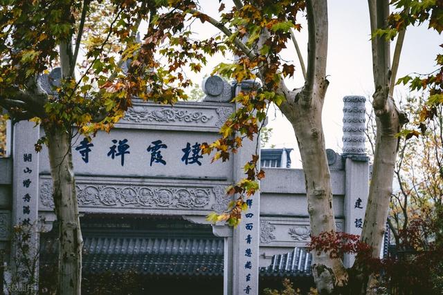 石象路银杏黄了！秋日南京必走的几条经典路线