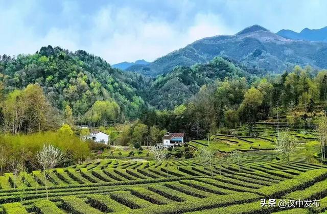 人民网英文版点赞西乡！钟家沟村的老街→