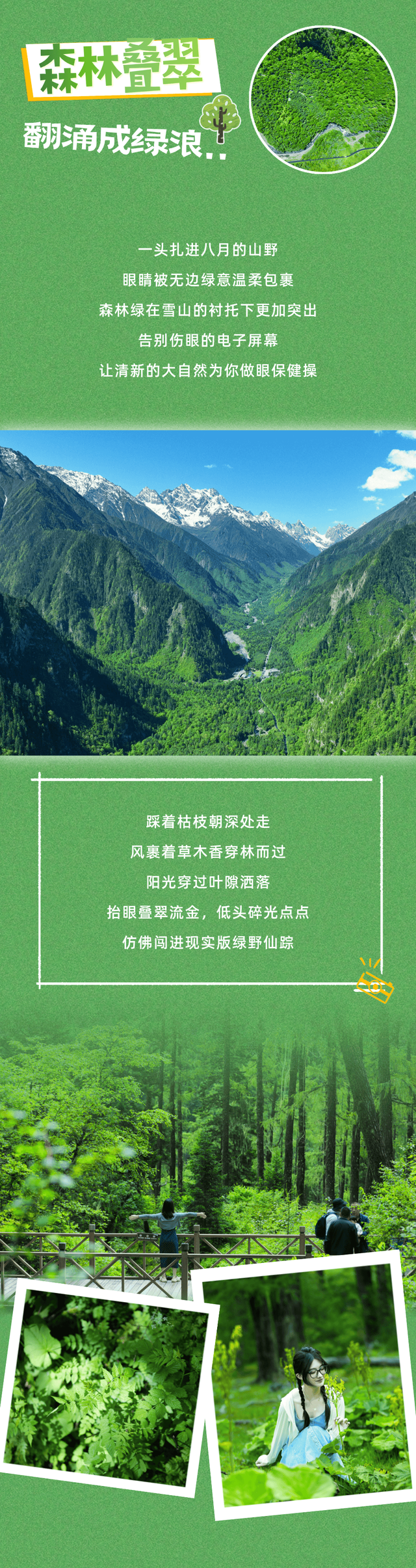 这个八月，被毕棚沟满屏绿狠狠 “拿捏”！