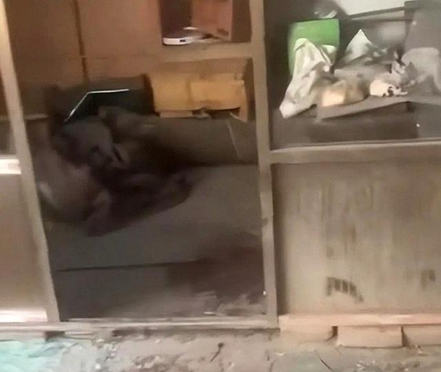 狗咬人风波持续升级，赵某晖再次爆料，申家姐姐身份被揭出！