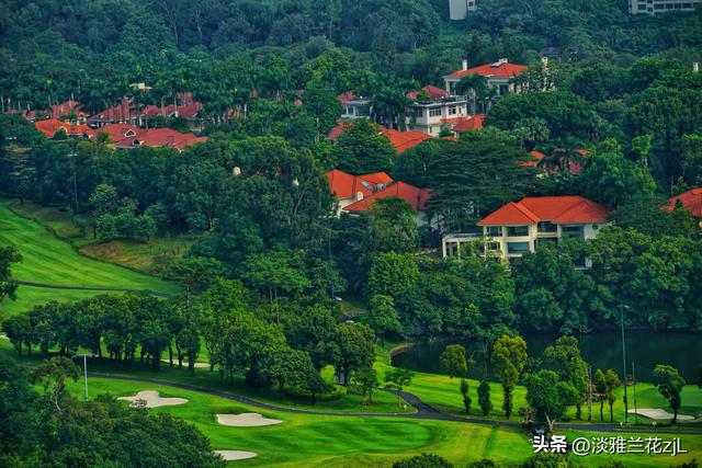 重阳节，登高远望城市风光。