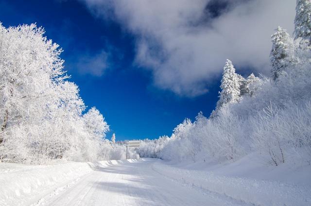 17名登山者不听劝阻，魂断梅里雪山，7年后遗骸验证神秘诅咒