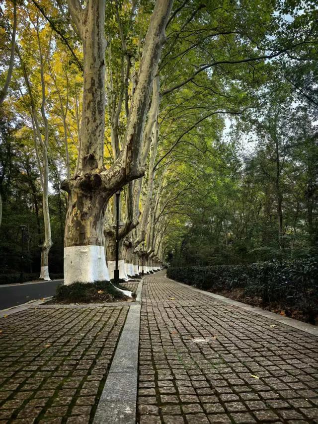 徒步的十大功劳