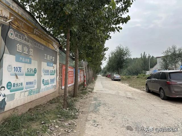 冠县乡韵·桑阿镇野场村