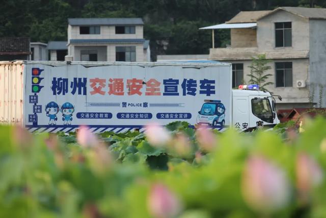 亲“荷”力满分！交通安全大篷车入花景，共守一路“荷”平