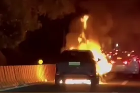 S5沪嘉高速一车辆起火 消防队员迅速扑灭图片