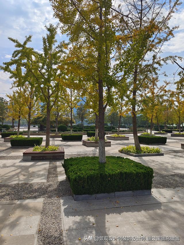 河北省邯郸市龙湖公园