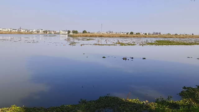 监利早餐 瞿乡集寨 复州城 日月潭 一日领略江汉平原古韵与鲜活