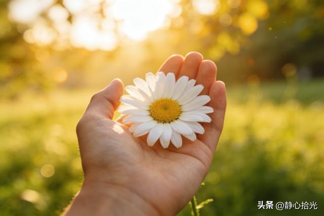 心存感恩，万物皆美