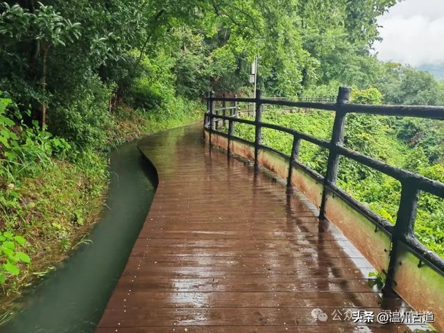 温州这个免门票的小众隐世宝地你可去过？