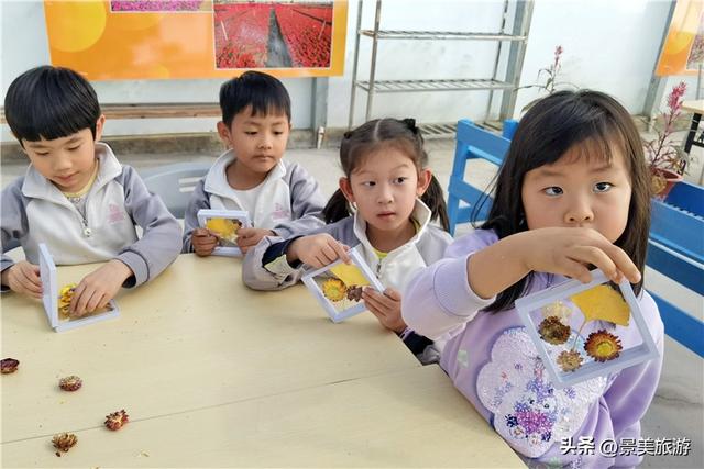 岭南冬如春，童趣蝶翩跹，学子来到佛山卡玛花世界开启蝴蝶研学