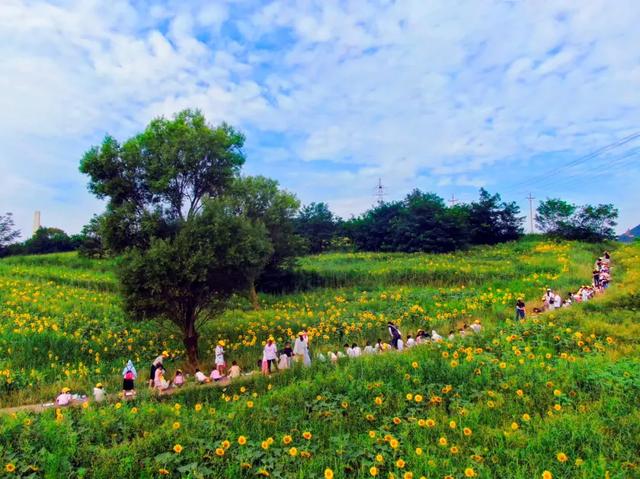 秋老虎发威？照金 19℃超凉爽，带娃抓住暑假小尾巴！