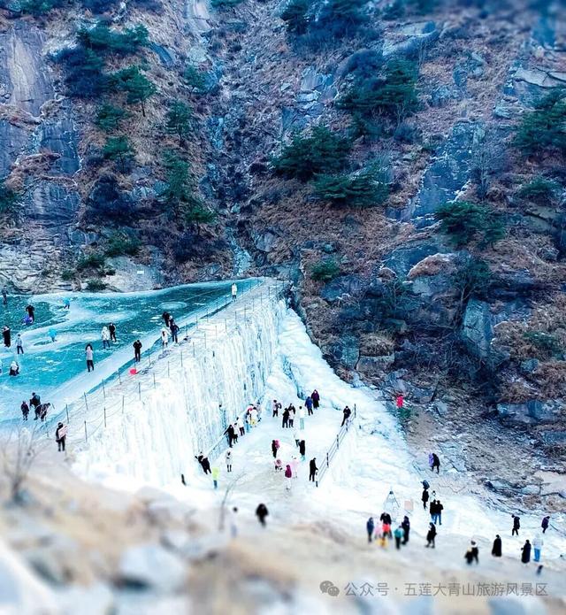 攻略来了！在五莲，这样跨年→