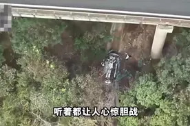 轿车滚落59米山崖人员无恙，网友直呼“命大”，真正的救星却是它图片