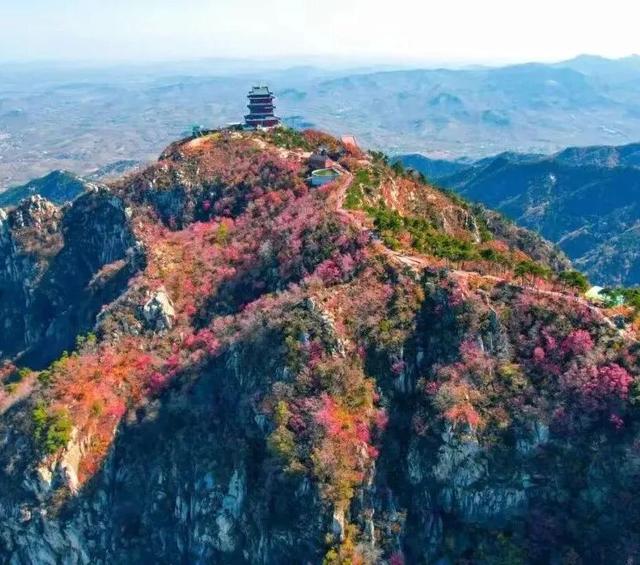 跟着色彩游临沂 | 柿子熟了・田园采摘之旅，承包你的秋日快乐