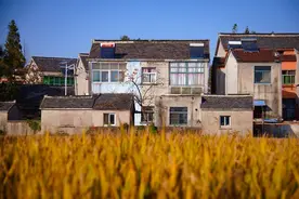 寡妇的秘密（一）图片