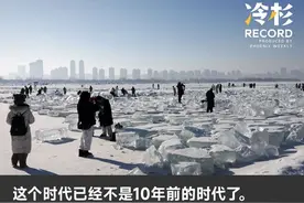 逐梦哈尔滨：闯入者、人造流量与隐身之人图片