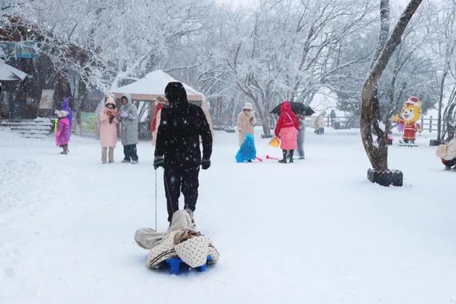 冬日亲子游,首选龙头山!打卡冰雪童话,承包全家欢乐时光~