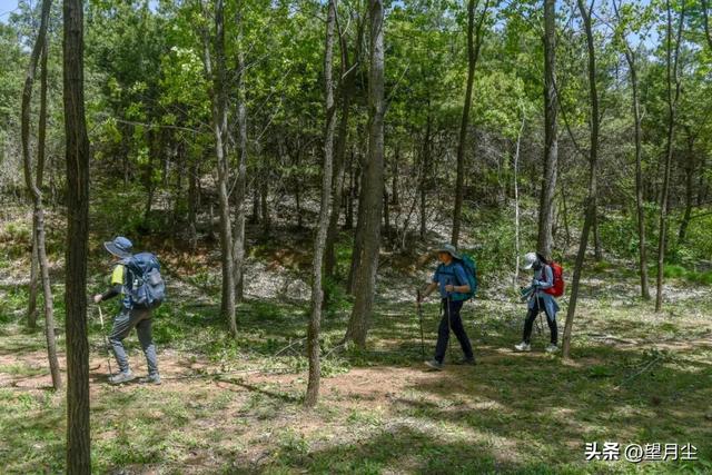 《太行山徒步记：从西走到南》免费的挂壁公路，悠悠然的崖边行走