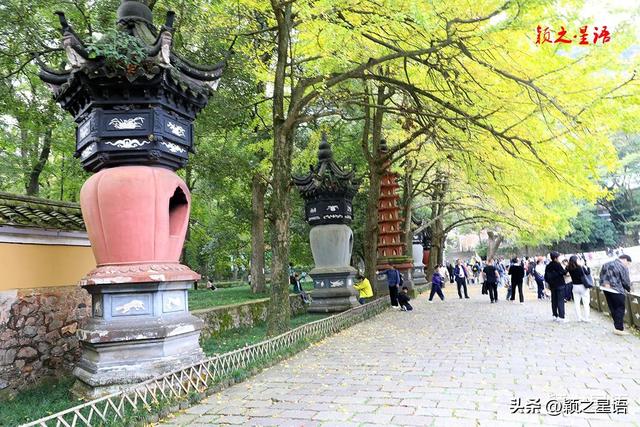 天童寺的高光时刻，禅意弥漫，东谷秋红