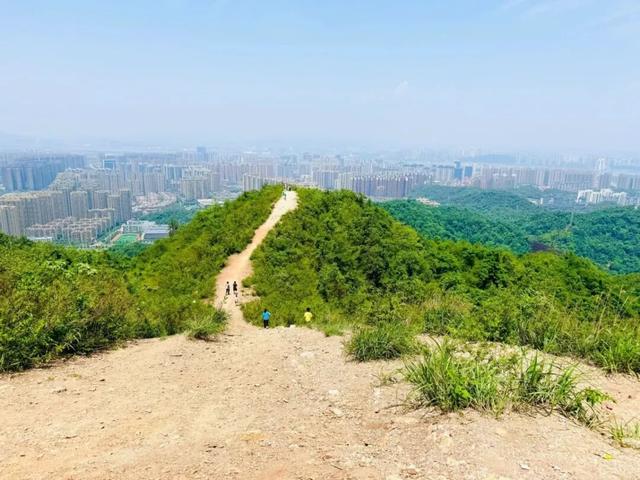 长沙5条亲子徒步“小秘境”路线，带娃坚持每周一山→