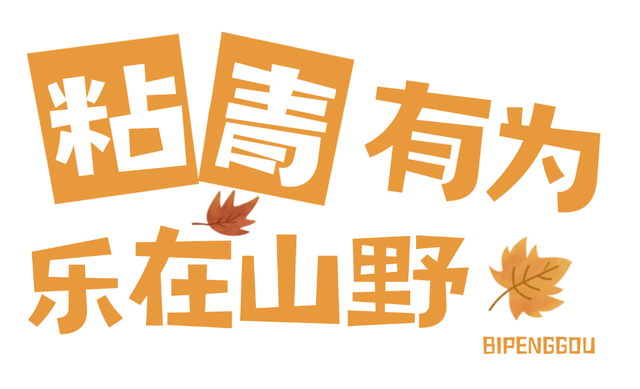山野不设限！毕棚沟2025“粘青有为”徒步活动激发秋日活力！