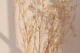 听说生化是宝宝跟妈妈最温柔的一次告别，悄悄的来，悄悄的走…图片
