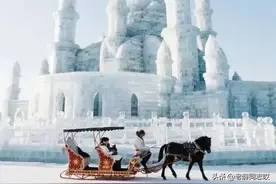 笑不活了！哈尔滨冰雪大世界官宣闭园，网友评论区直接炸翻天图片