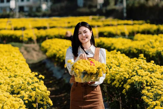 欢迎放秋假的同学们来醴陵秋游！