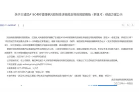 重磅！武汉一大批规划用地性质更改！图片